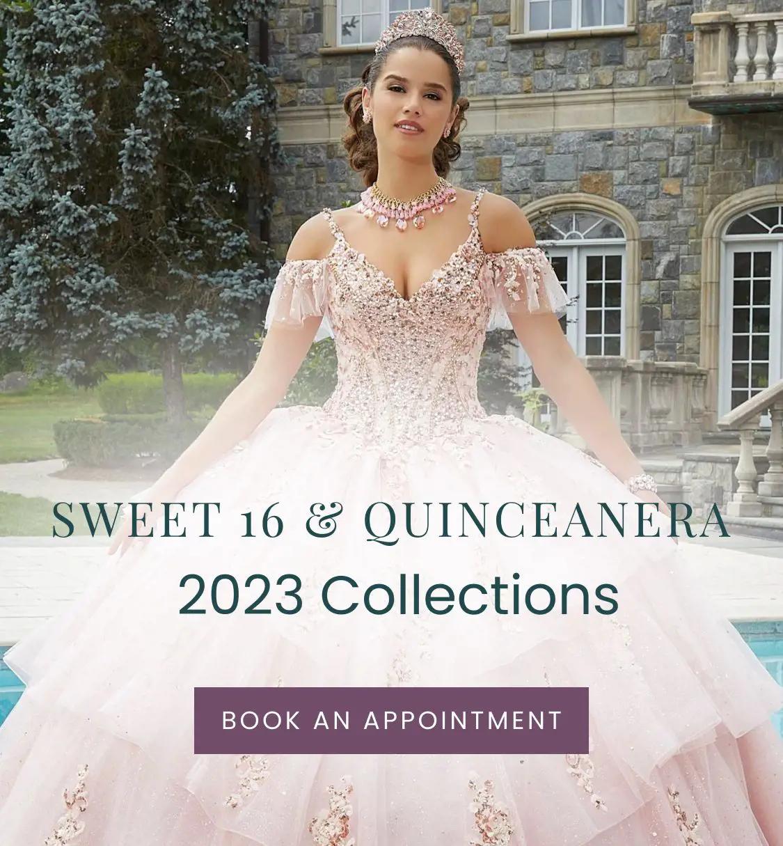 Banner Promoting Quinceanera Dress
