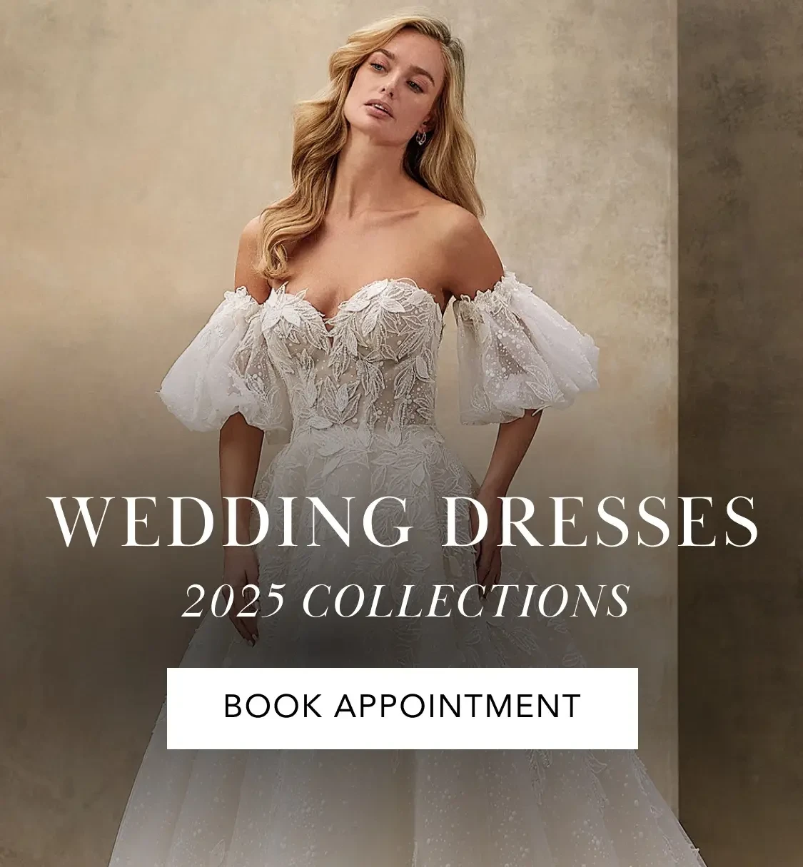 Wedding Dresses Fall 2025